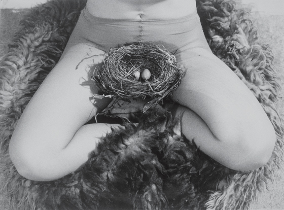 Биргит Юргенсон. Гнездо. 1979